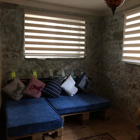 Ozzy Homes *