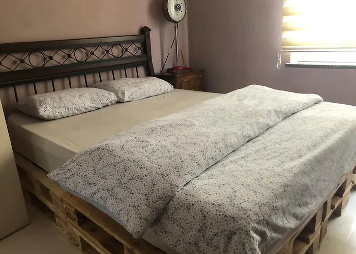 Appartement Ozzy Homes *