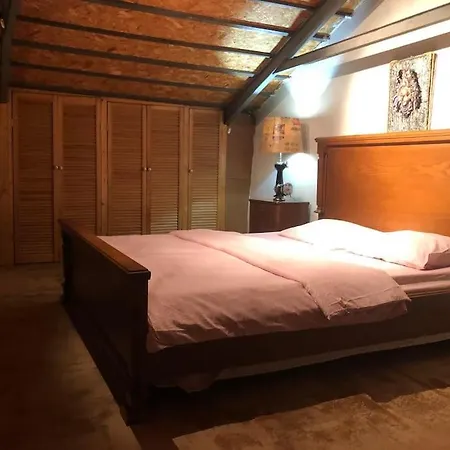 Apartament Ozzy Homes *