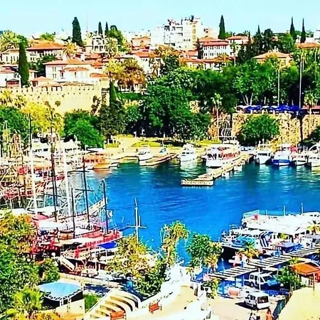 Apartment Ozzy Homes