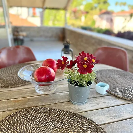 Ozzy Homes * Antalia